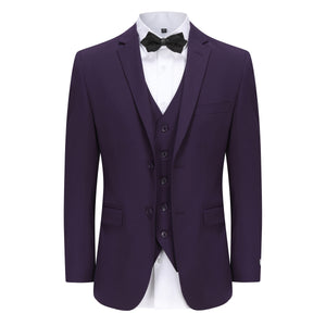 AZ300(SOLID) - PLUM